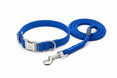dog leash and collar product image