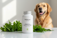 walkerun's dog enzymes suppliment product for gut health